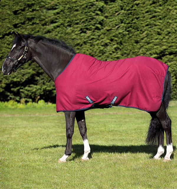 COPERTA HORSEWARE RAMBO WAFFLE COOLER BORDEAUX - Selleria gianoli