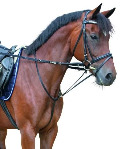 TIEDEMANN REINS SET WITH MARTINGALE
