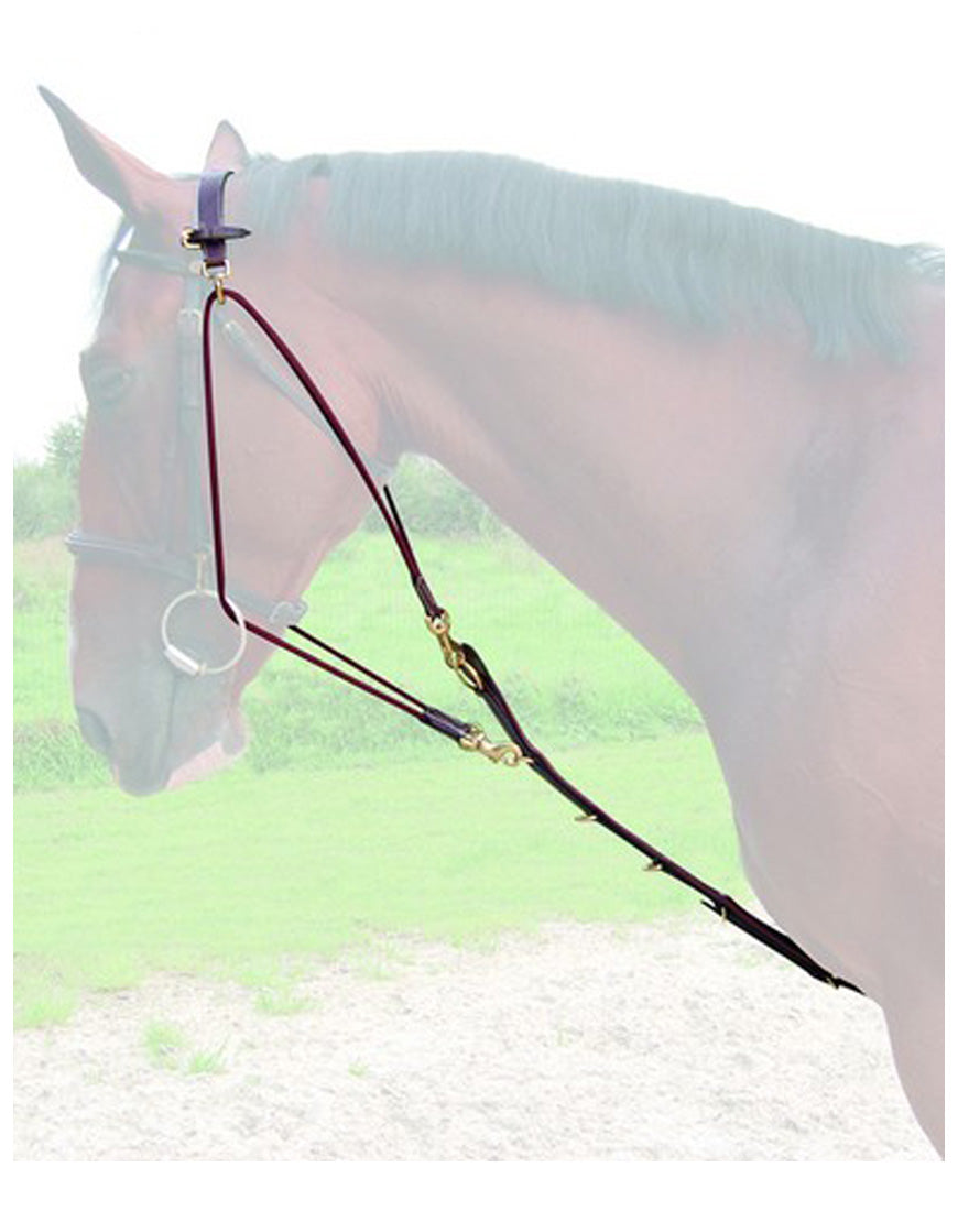 GOGUE - Selleria gianoli