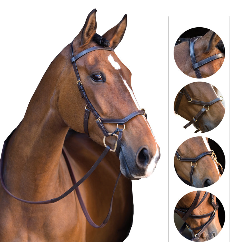 TESTIERA MIKLEM MULTIBRIDLE HORSEWARE - Selleria gianoli