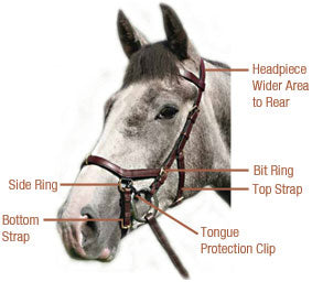 TESTIERA MIKLEM MULTIBRIDLE HORSEWARE - Selleria gianoli