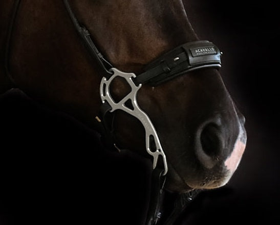 HACKAMORE ACAVALLO - Selleria gianoli