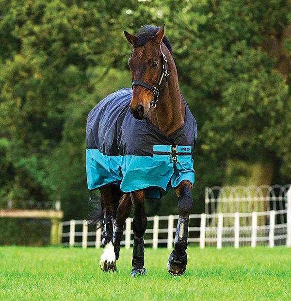COPERTA PADDOCK HORSEWARE MIO TURNOUT 200 GR - Selleria gianoli