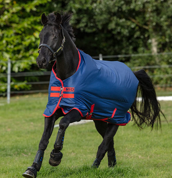COPERTA PADDOCK HORSEWARE MIO TURNOUT 200 GR - Selleria gianoli