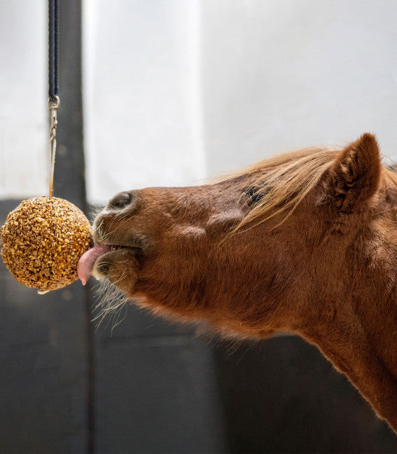 LIKIT GRANOLA STALL-BALL - Selleria gianoli