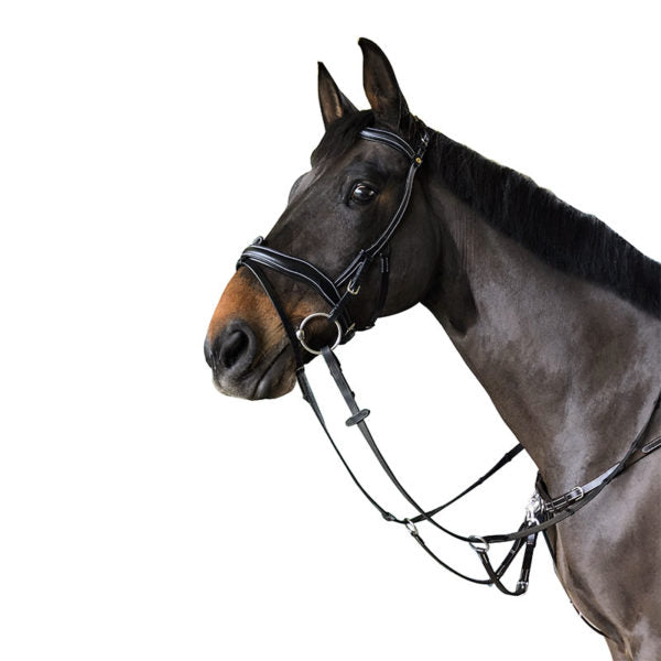 TESTIERA ERGONOMICA PARIANI - Selleria gianoli