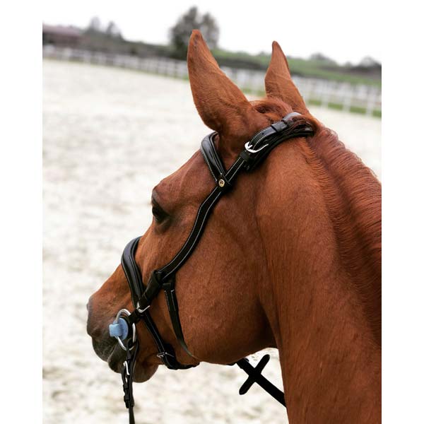 TESTIERA ERGONOMICA PARIANI - Selleria gianoli