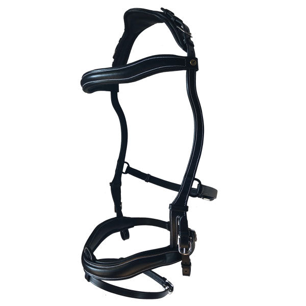 TESTIERA ERGONOMICA PARIANI - Selleria gianoli