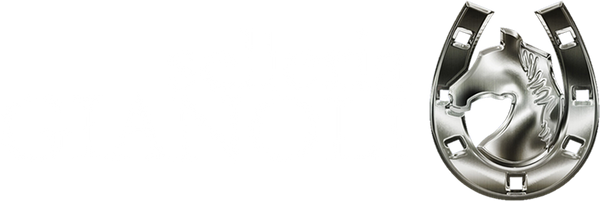Selleria Gianoli Snc