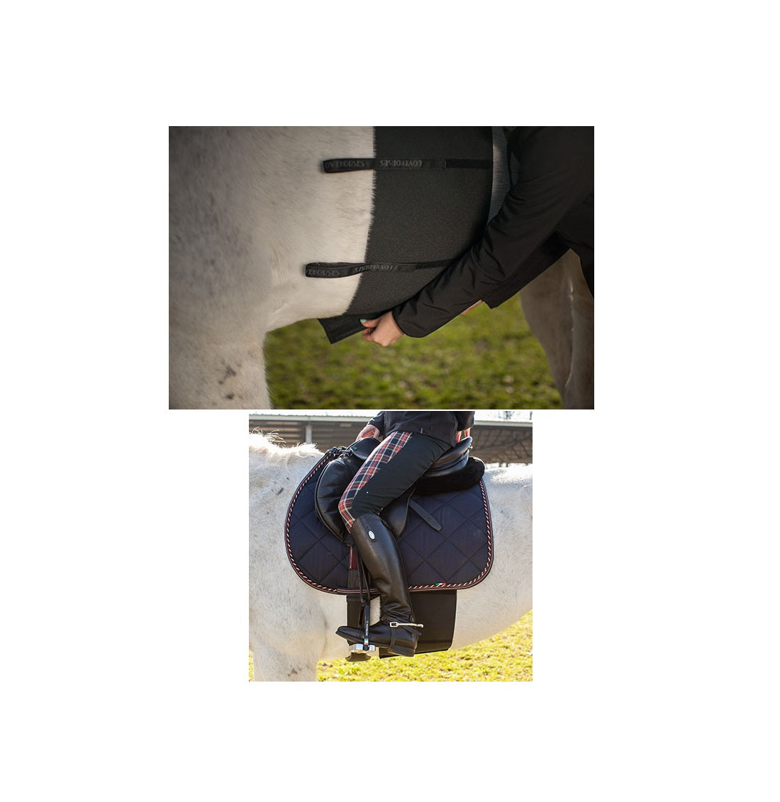 FASCIA DI RISPETTO LOVEHORSES FULL CONTACT - Selleria gianoli