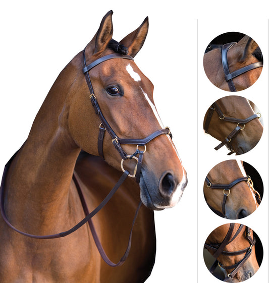 BRIGLIA INGLESE PER PONY SHETLAND COMPLETA DI BRIGLIA INGLESE PER PONY SHETLAND COMPLETA DI