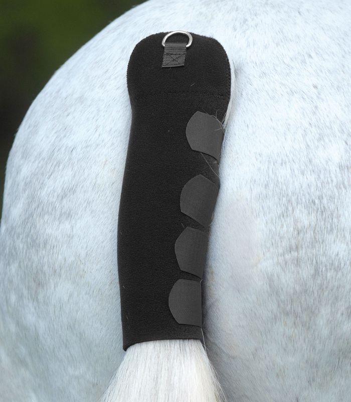 PARACODA TRASPORTO - Selleria Gianoli Snc